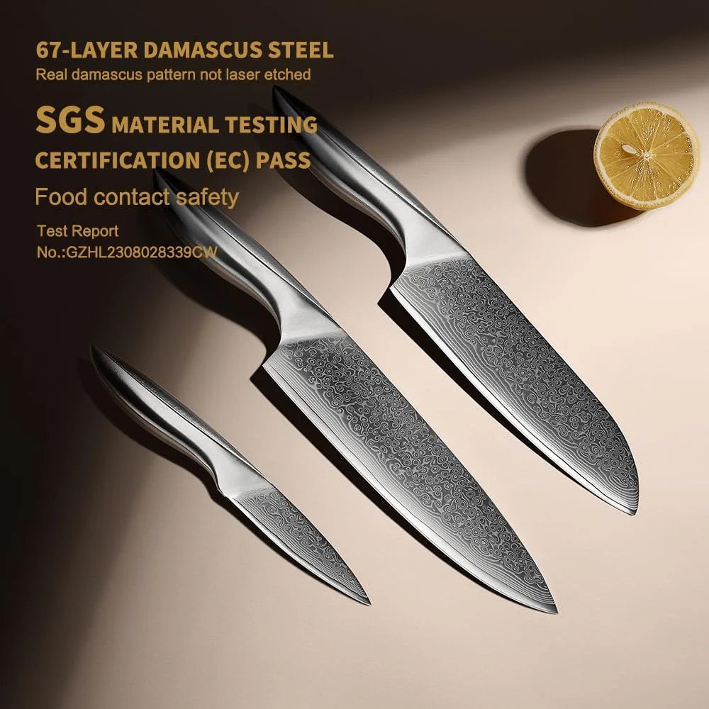 Professional 3 PCS 67-layer Damascus Steel Chef Santoku Knife Paring Knife Kitchen Knife Set with Gift Box