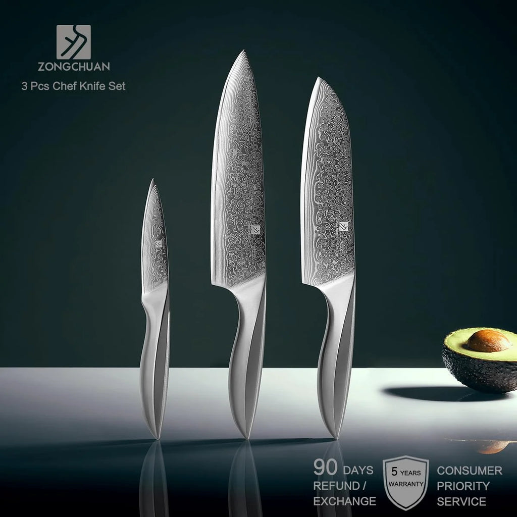 Professional 3 PCS 67-layer Damascus Steel Chef Santoku Knife Paring Knife Kitchen Knife Set with Gift Box